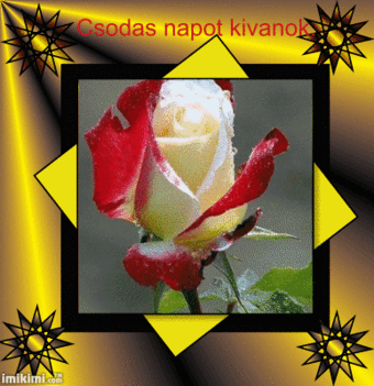 CSODLATOSNAPOT
