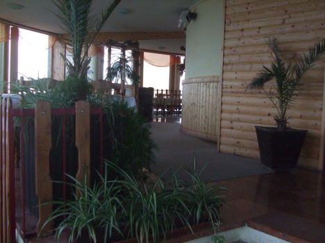 DSCF1074