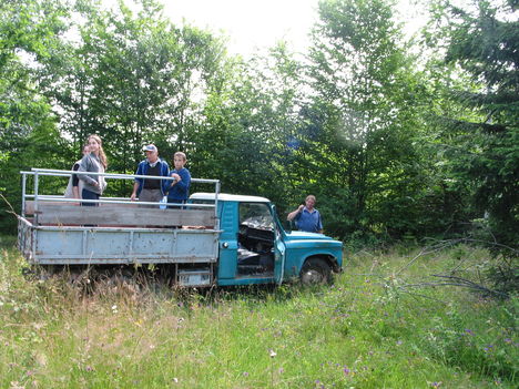 Gyíkoskő