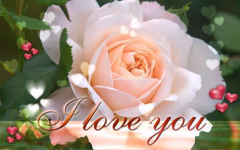 i-love-you-