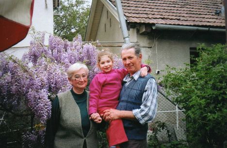 Nyilik az akác