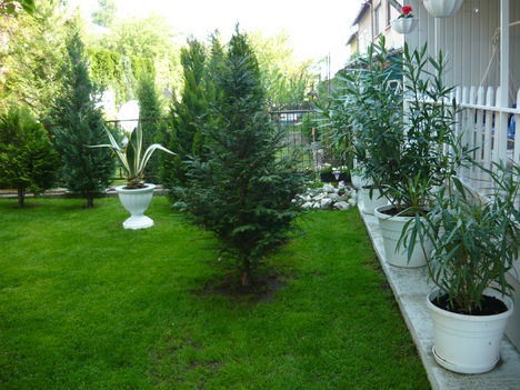 P1000113