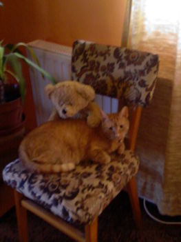 Photo-0022