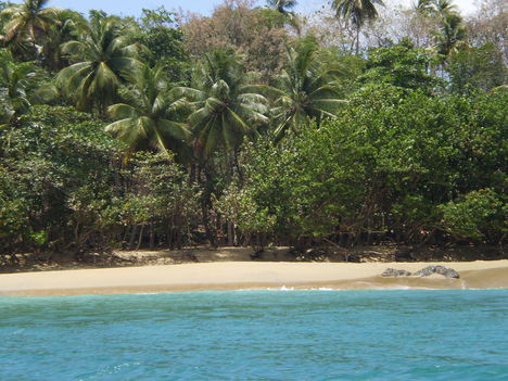 TOBAGO 13