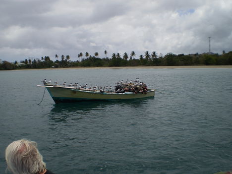TOBAGO 15