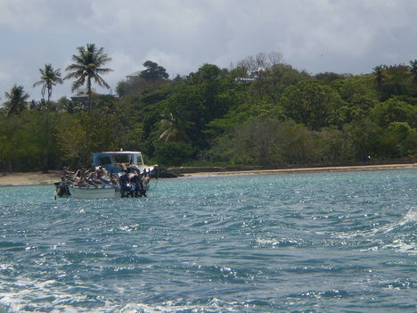 TOBAGO 7