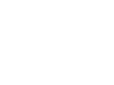 KAMł