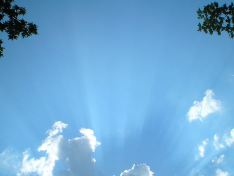 2009.05.01