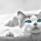 ATG2TMNCANNU4DWCAZRO88HCA6J0AUVCA9M56TMCAH7UBS6CAXIQ0SICAY1PWHPCAKLCVCFCAM8UCXDCATKRDG2CA2FCKRPCA4K4UBSCAIDJGYICAQXWWA0CA6VW14DCAG4ME02CAC22YGKCAVLW4P1CAAJPT1N