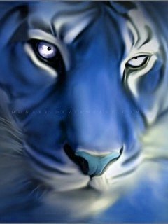 Blue_Tigerű