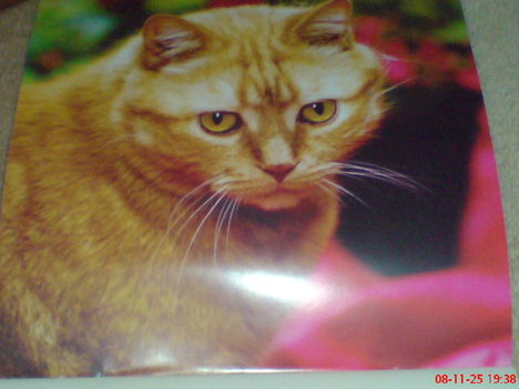 DSC00500