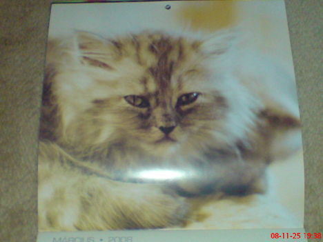 DSC00502
