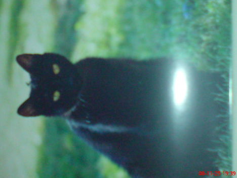 DSC00504
