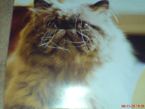 DSC00505