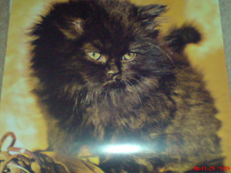 DSC00507