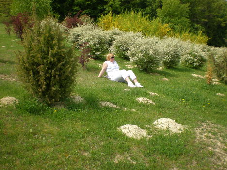 KATA 230