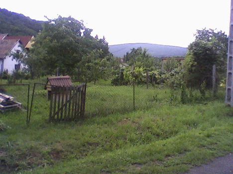 kép