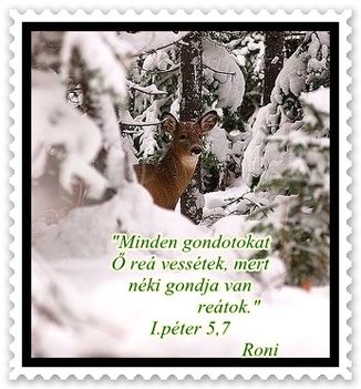 Minden gondolatotokat..