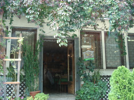 DSC01132