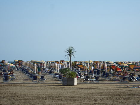 DSC01190