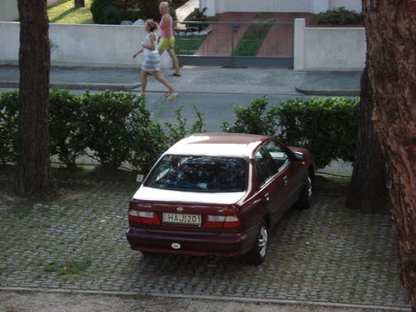 DSC01197