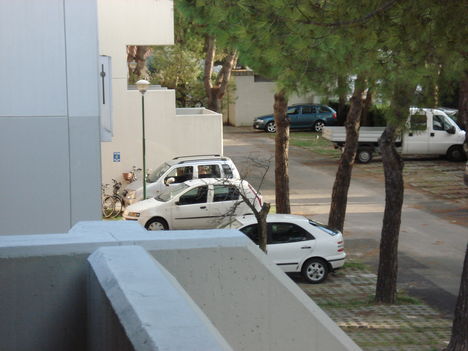 DSC01198