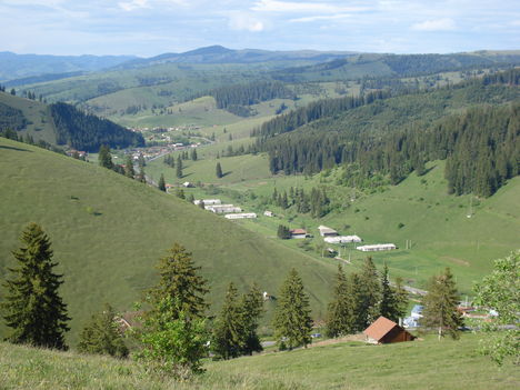 DSC02107