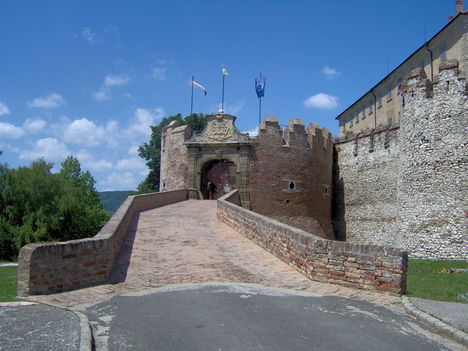 HPIM0981