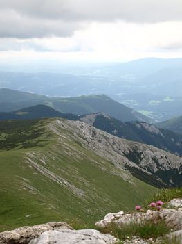 P70745151