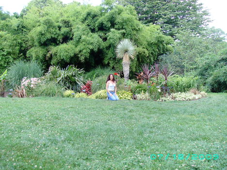 Szinten  Prospect Park  Garden