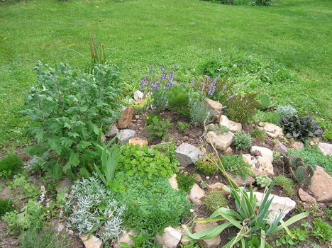 DSCN1167