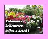 kellemesen teljen a heted