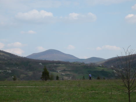 P1000082 (2)