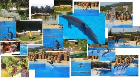 Marineland