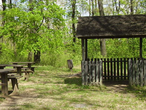 P1281355
