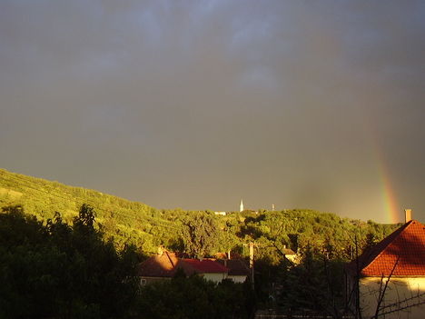 P3041620