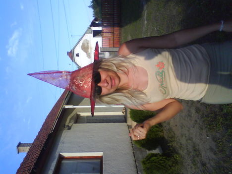 A BOSZI