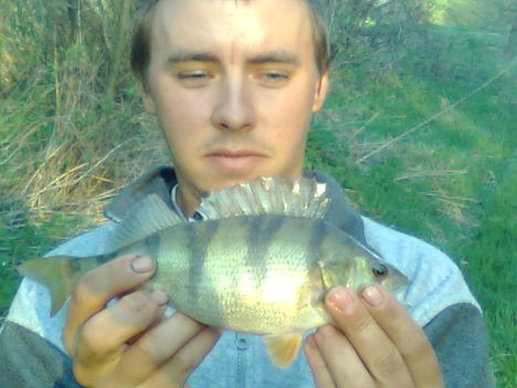 Kerkai sügér(30 dkg ),és én