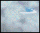 thIchigo-And-Hollow-With-Bord[1]
