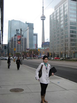 Toronto belvarosa