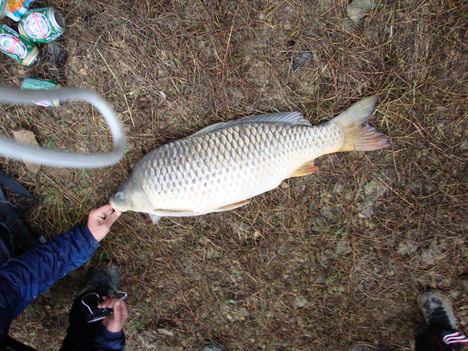 rio ebro 11