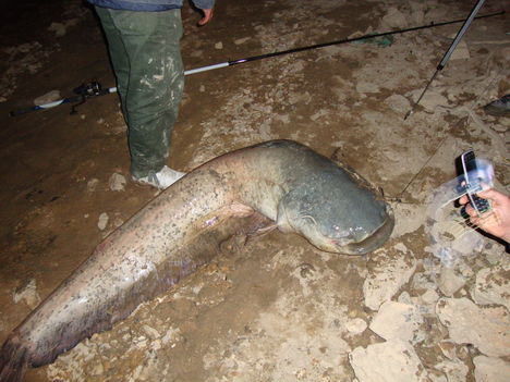 rio ebro 5