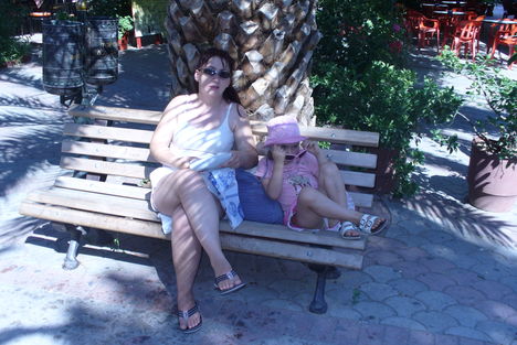 SARTI2008061017 227
