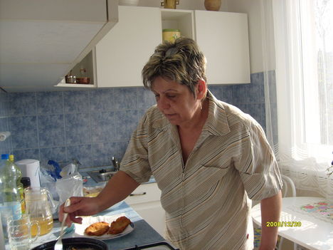Várpalotán és Óbányán 018