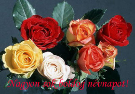 hétszál rózsa névnapra