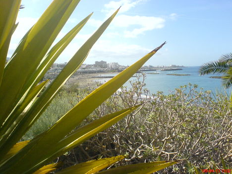 Tenerife 2009. április 4