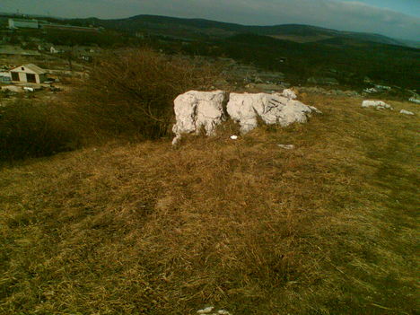 Galla a hegyen