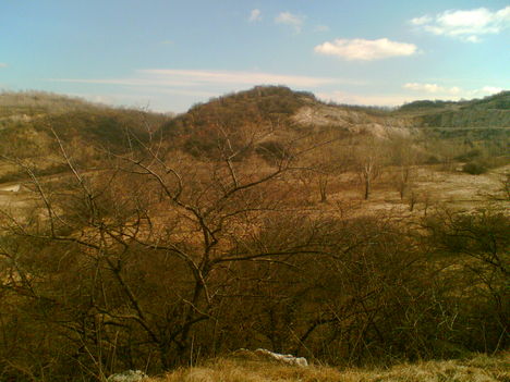 Galla a hegyen