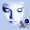 147200_korda_bild2