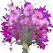 csokor